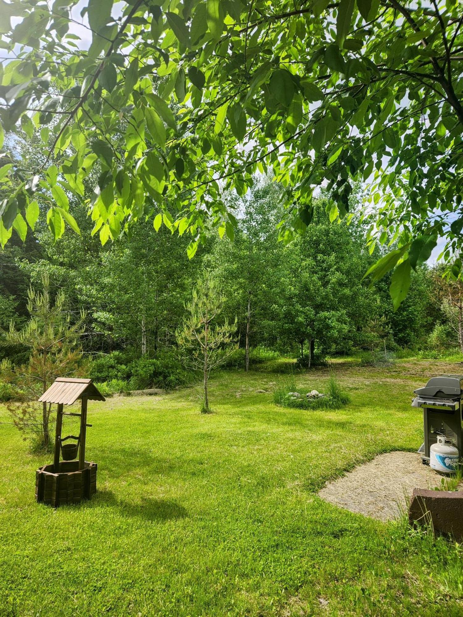 Backyard Bliss In The White Mountains Lincoln Exterior foto