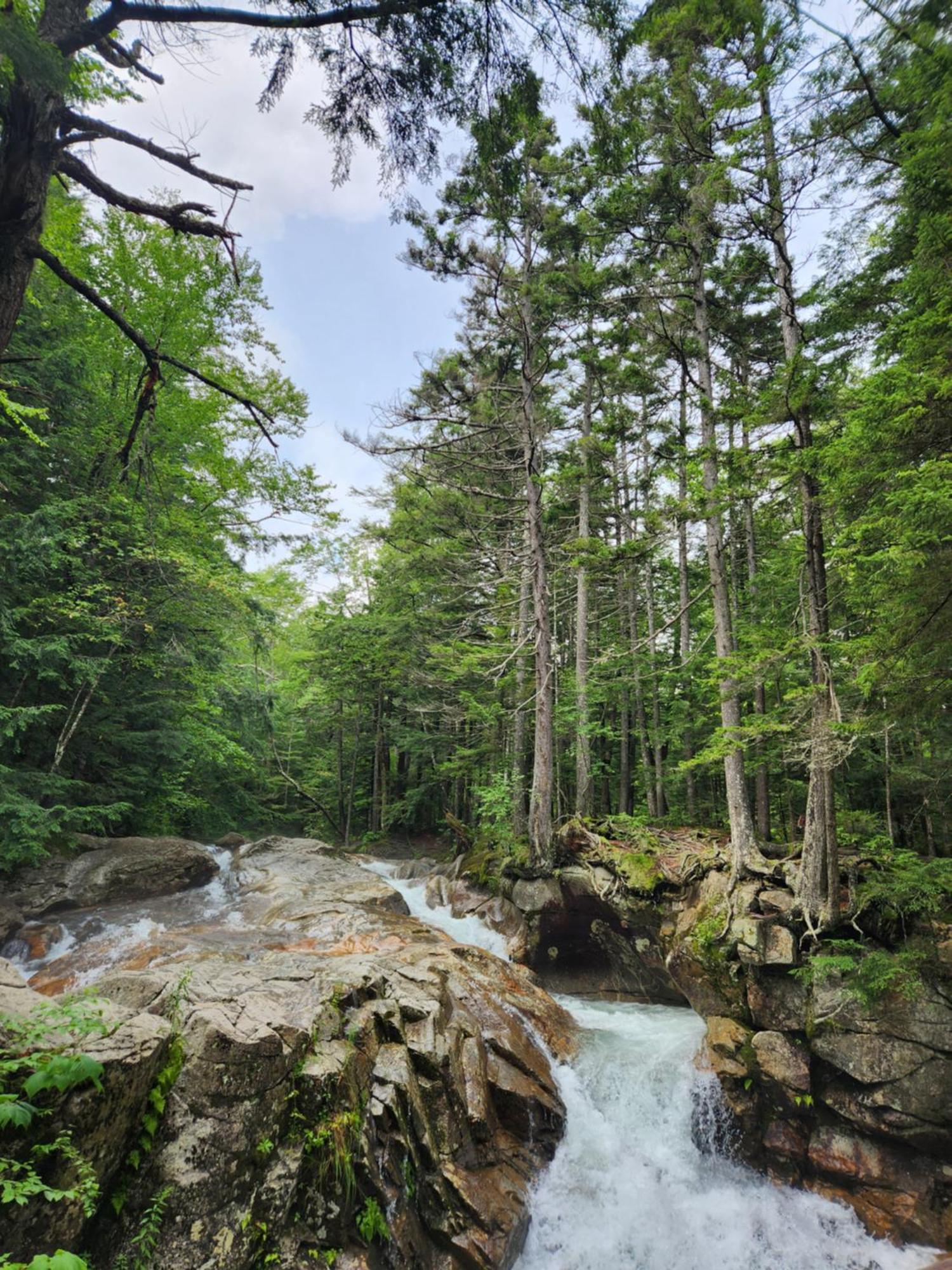 Backyard Bliss In The White Mountains Lincoln Exterior foto